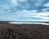 Thunder Lake