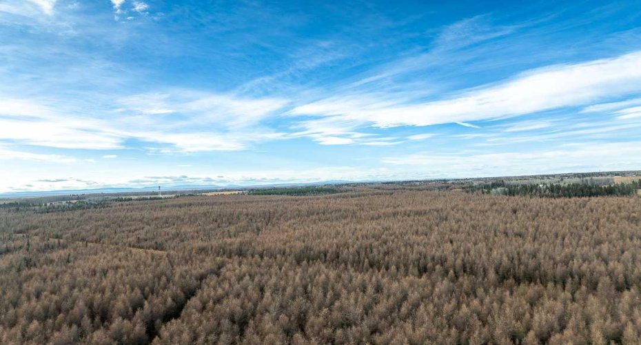 Range Road 6.2, Rural Clearwater County, Alberta T0M 0C0, ,Land,For Sale,Range Road 6.2,A2269590