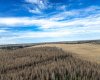 Range Road 6.2, Rural Clearwater County, Alberta T0M 0C0, ,Land,For Sale,Range Road 6.2,A2269590