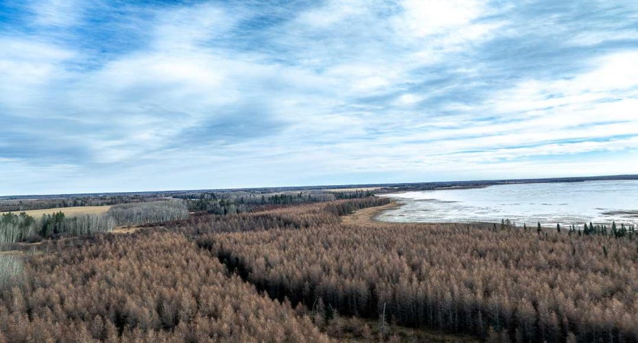 Range Road 6.2, Rural Clearwater County, Alberta T0M 0C0, ,Land,For Sale,Range Road 6.2,A2269590
