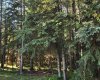Range Road 6.2, Rural Clearwater County, Alberta T0M 0C0, ,Land,For Sale,Range Road 6.2,A2269590