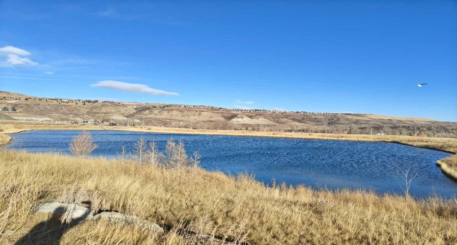 422 Greystone Boulevard, Cochrane, Alberta T4C0A2, ,Commercial,For Sale,GREYSTONE PLACE,Greystone,A2276179