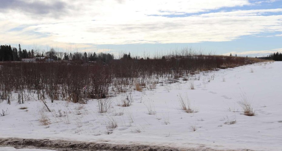 7301 Glenwood Drive, Edson, Alberta T7E 1N1, ,Land,For Sale,Glenwood Drive,A2114666