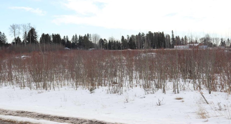 7301 Glenwood Drive, Edson, Alberta T7E 1N1, ,Land,For Sale,Glenwood Drive,A2114666