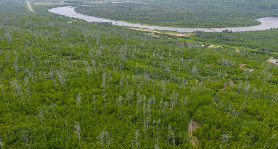 5329 Draper Road, Fort McMurray, Alberta T9H0K7, ,Land,For Sale,Draper,A2234078