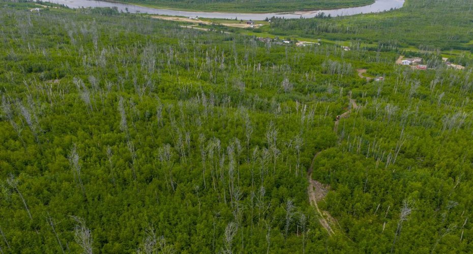5329 Draper Road, Fort McMurray, Alberta T9H0K7, ,Land,For Sale,Draper,A2234078