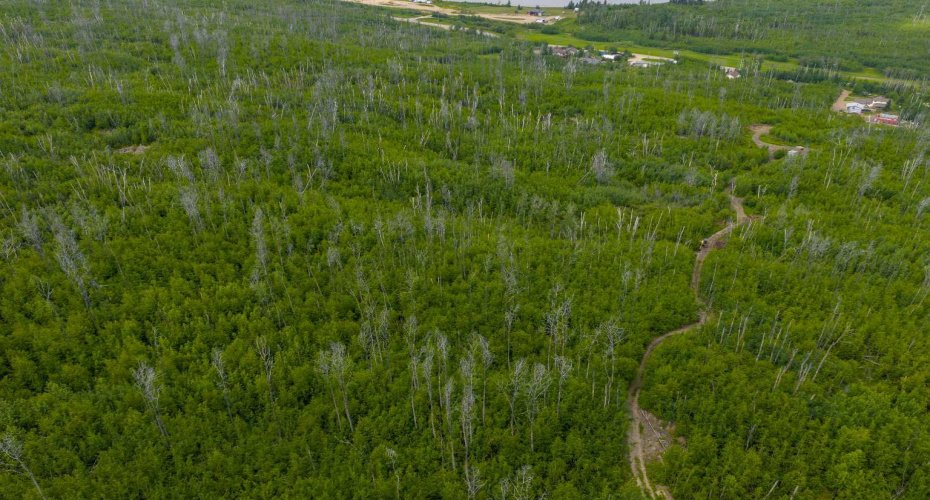 5329 Draper Road, Fort McMurray, Alberta T9H0K7, ,Land,For Sale,Draper,A2234078