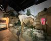 1381 Dinosaur Trail, Drumheller, Alberta T0J 0Y0, ,Commercial,For Sale,Dinosaur,A2277015