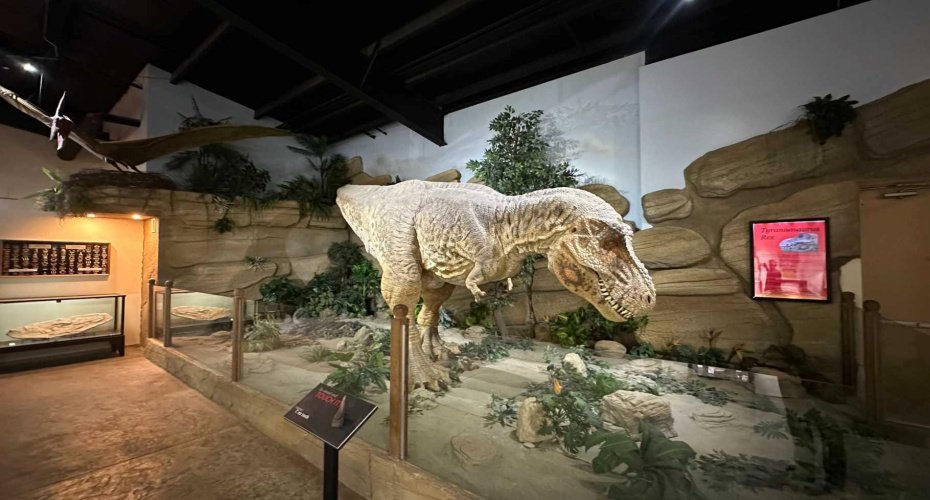 1381 Dinosaur Trail, Drumheller, Alberta T0J 0Y0, ,Commercial,For Sale,Dinosaur,A2277015