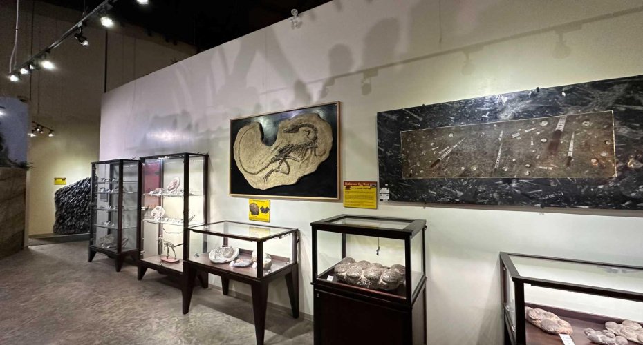 1381 Dinosaur Trail, Drumheller, Alberta T0J 0Y0, ,Commercial,For Sale,Dinosaur,A2277015
