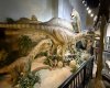 1381 Dinosaur Trail, Drumheller, Alberta T0J 0Y0, ,Commercial,For Sale,Dinosaur,A2277015