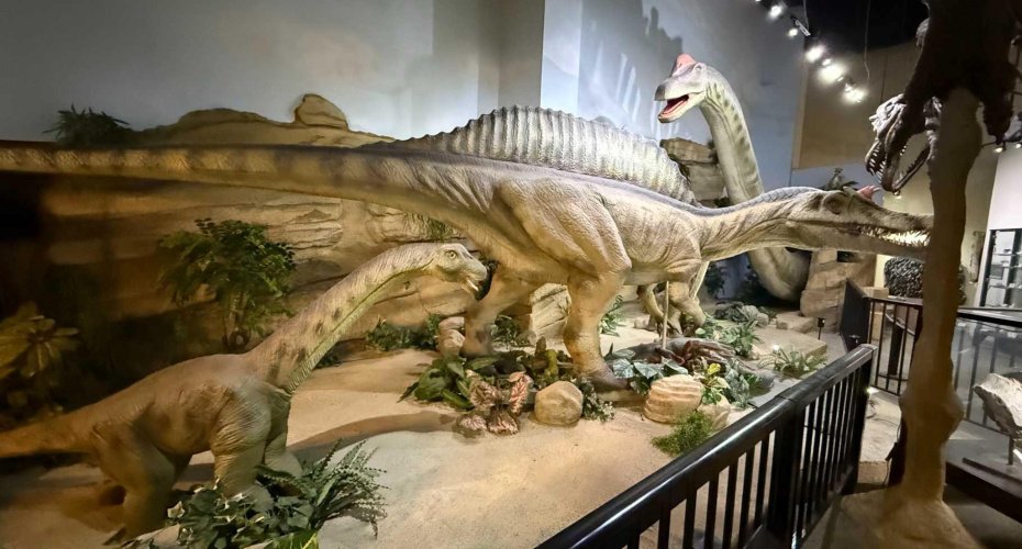 1381 Dinosaur Trail, Drumheller, Alberta T0J 0Y0, ,Commercial,For Sale,Dinosaur,A2277015