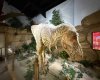 1381 Dinosaur Trail, Drumheller, Alberta T0J 0Y0, ,Commercial,For Sale,Dinosaur,A2277015