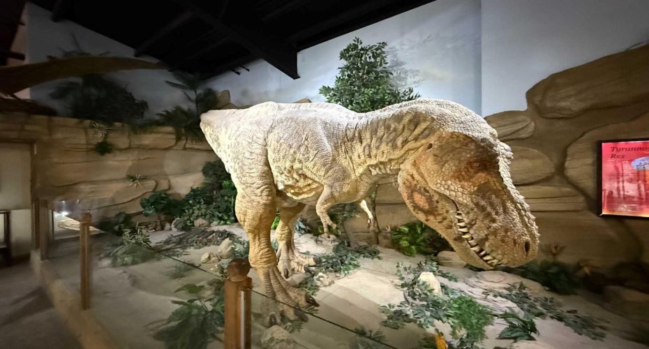 1381 Dinosaur Trail, Drumheller, Alberta T0J 0Y0, ,Commercial,For Sale,Dinosaur,A2277015