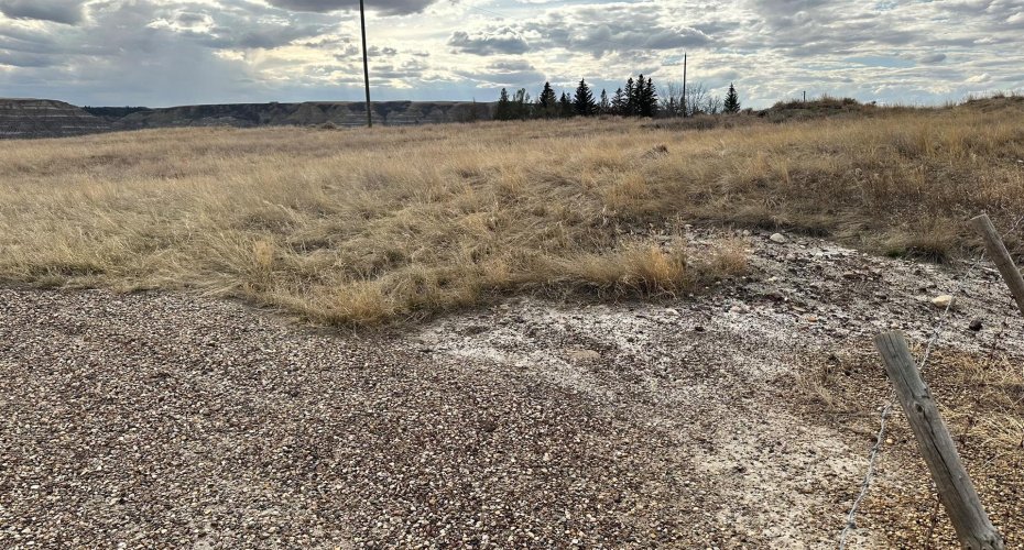 HIGHWAY 838 North Dinosaur Trail, Rural Starland County, Alberta T0J 0Y1, ,Land,For Sale,North Dinosaur Trail,A2277038