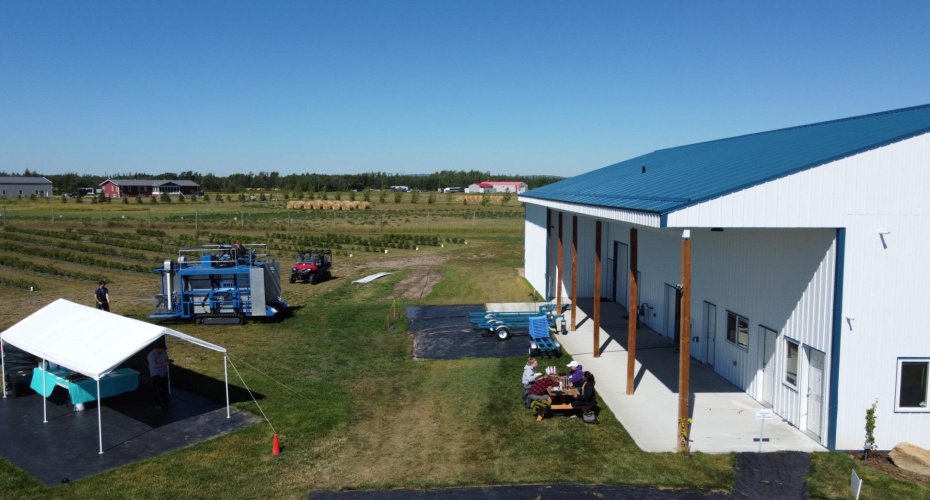 705068 82 Range, Wembley, Alberta T8W 5B5, ,Agri-business,For Sale,82,A2277492