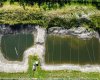 705068 82 Range, Wembley, Alberta T8W 5B5, ,Agri-business,For Sale,82,A2277492