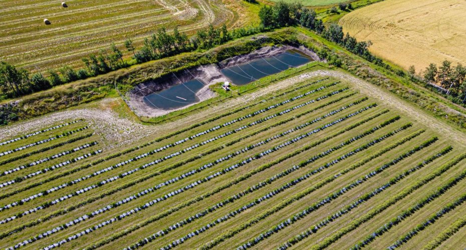 705068 82 Range, Wembley, Alberta T8W 5B5, ,Agri-business,For Sale,82,A2277492