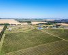 705068 82 Range, Wembley, Alberta T8W 5B5, ,Agri-business,For Sale,82,A2277492