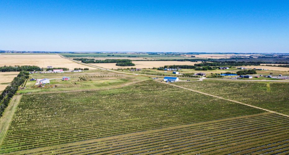 705068 82 Range, Wembley, Alberta T8W 5B5, ,Agri-business,For Sale,82,A2277492