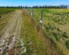 705068 82 Range, Wembley, Alberta T8W 5B5, ,Agri-business,For Sale,82,A2277492