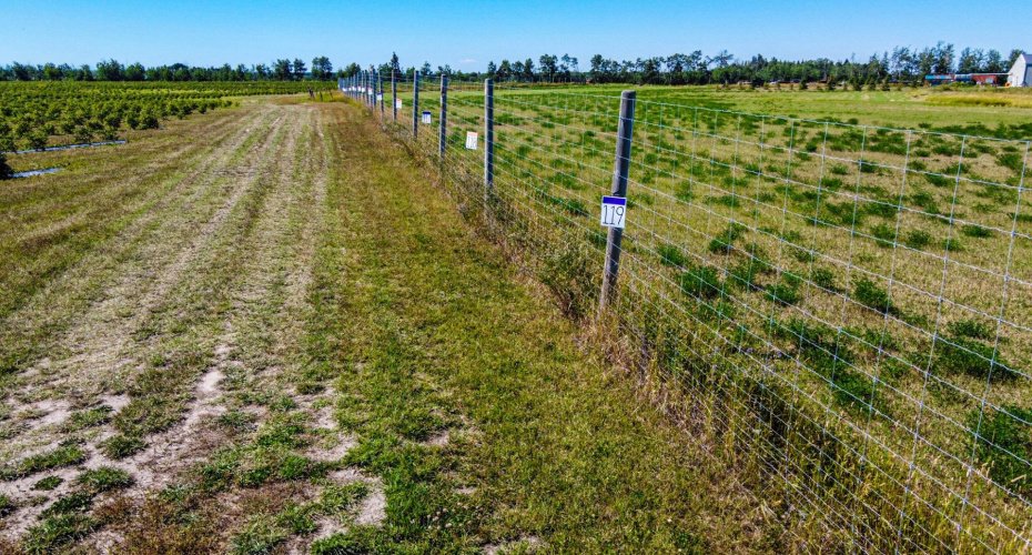 705068 82 Range, Wembley, Alberta T8W 5B5, ,Agri-business,For Sale,82,A2277492