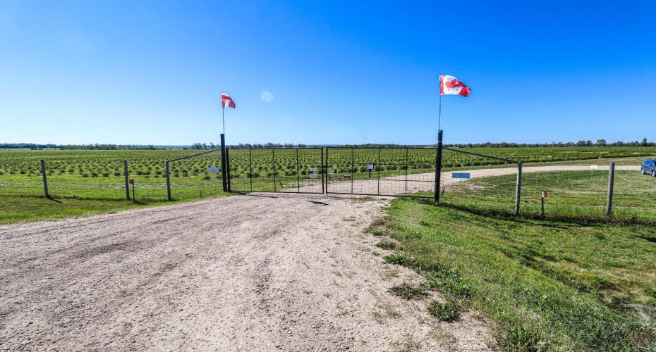 705068 82 Range, Wembley, Alberta T8W 5B5, ,Agri-business,For Sale,82,A2277492