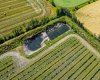 705068 RGE RD 82, Wembley, Alberta T8W 5B5, ,Commercial,For Sale,Haskap Berry Farm,RGE RD 82,A2277501