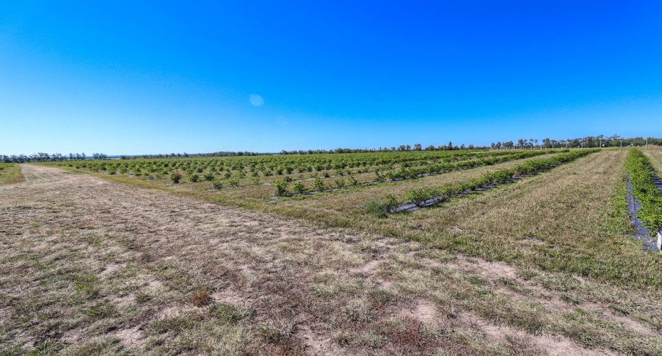705068 RGE RD 82, Wembley, Alberta T8W 5B5, ,Commercial,For Sale,Haskap Berry Farm,RGE RD 82,A2277501