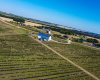 705068 RGE RD 82, Wembley, Alberta T8W 5B5, ,Commercial,For Sale,Haskap Berry Farm,RGE RD 82,A2277501