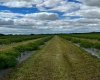 705068 RGE RD 82, Wembley, Alberta T8W 5B5, ,Commercial,For Sale,Haskap Berry Farm,RGE RD 82,A2277501