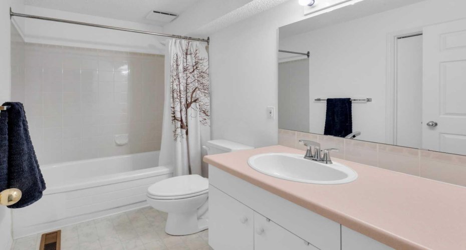 Full bath downstairs