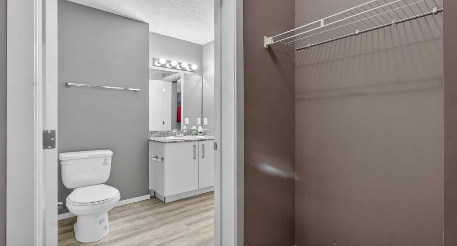 Walk-Through Closet Leading to Secondary Bathroom