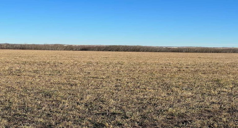 Pt. of NW-28-71-5-W6, Rural Grande Prairie No. 1, County of, Alberta T8X 0G4, ,Agri-business,For Sale,NW-28-71-5-W6,A2277791