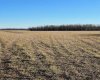 Pt. of NW-28-71-5-W6, Rural Grande Prairie No. 1, County of, Alberta T8X 0G4, ,Agri-business,For Sale,NW-28-71-5-W6,A2277791