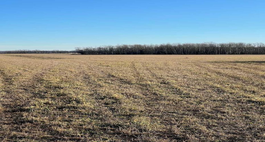 Pt. of NW-28-71-5-W6, Rural Grande Prairie No. 1, County of, Alberta T8X 0G4, ,Agri-business,For Sale,NW-28-71-5-W6,A2277791