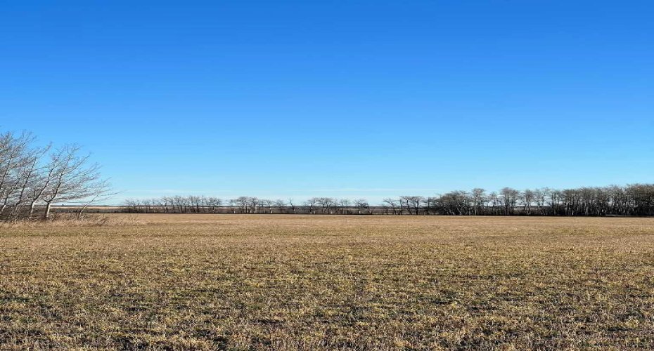 Pt. of NW-28-71-5-W6, Rural Grande Prairie No. 1, County of, Alberta T8X 0G4, ,Agri-business,For Sale,NW-28-71-5-W6,A2277791