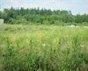 2010 Prospect Drive, Wabasca, Alberta T0G 2K0, ,Land,For Sale,Prospect,A2277887