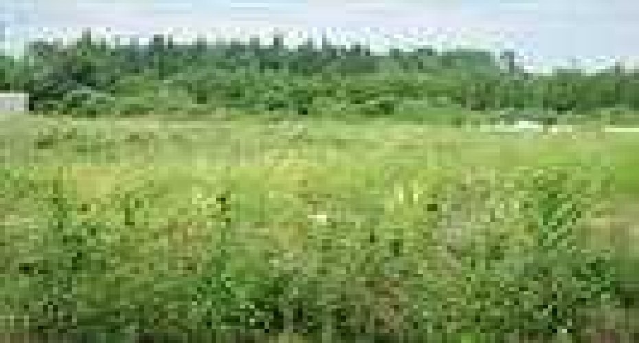 2010 Prospect Drive, Wabasca, Alberta T0G 2K0, ,Land,For Sale,Prospect,A2277887