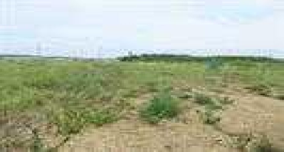 2010 Prospect Drive, Wabasca, Alberta T0G 2K0, ,Land,For Sale,Prospect,A2277887