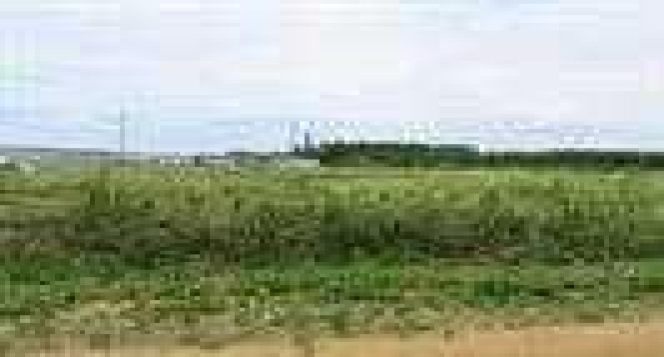 2010 Prospect Drive, Wabasca, Alberta T0G 2K0, ,Land,For Sale,Prospect,A2277887