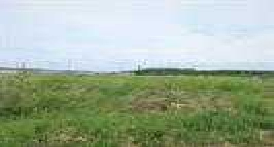 2010 Prospect Drive, Wabasca, Alberta T0G 2K0, ,Land,For Sale,Prospect,A2277887