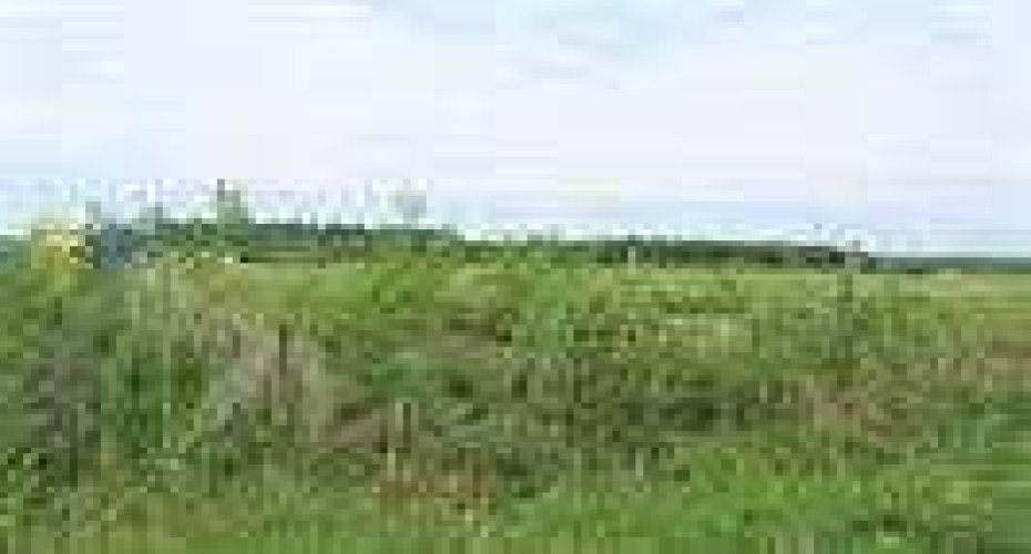 2010 Prospect Drive, Wabasca, Alberta T0G 2K0, ,Land,For Sale,Prospect,A2277887