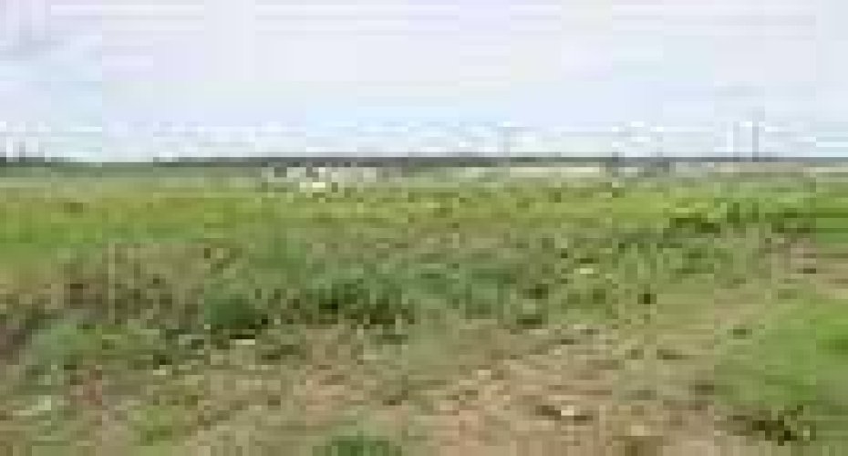 2010 Prospect Drive, Wabasca, Alberta T0G 2K0, ,Land,For Sale,Prospect,A2277887