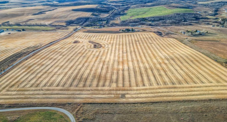 54.28 Acres on 96th Street, Rural Foothills County, Alberta T1S 0V1, ,Land,For Sale,96th,A2268112
