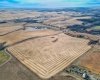 54.28 Acres on 96th Street, Rural Foothills County, Alberta T1S 0V1, ,Land,For Sale,96th,A2268112