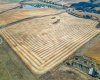 54.28 Acres on 96th Street, Rural Foothills County, Alberta T1S 0V1, ,Land,For Sale,96th,A2268112