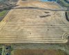 54.28 Acres on 96th Street, Rural Foothills County, Alberta T1S 0V1, ,Land,For Sale,96th,A2268112