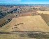54.28 Acres on 96th Street, Rural Foothills County, Alberta T1S 0V1, ,Land,For Sale,96th,A2268112