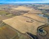 54.28 Acres on 96th Street, Rural Foothills County, Alberta T1S 0V1, ,Land,For Sale,96th,A2268112